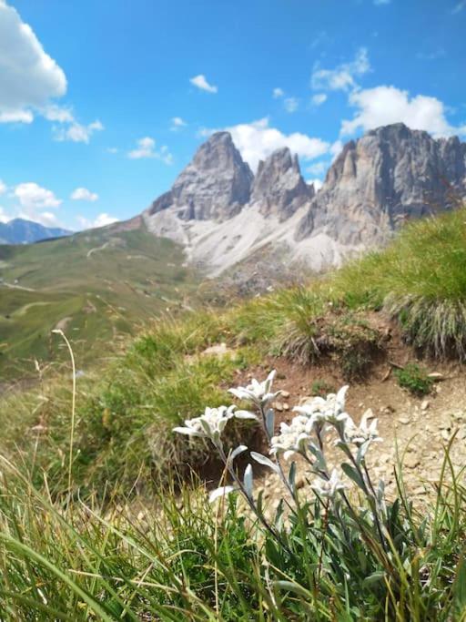 Appartamento A Tesero Buitenkant foto